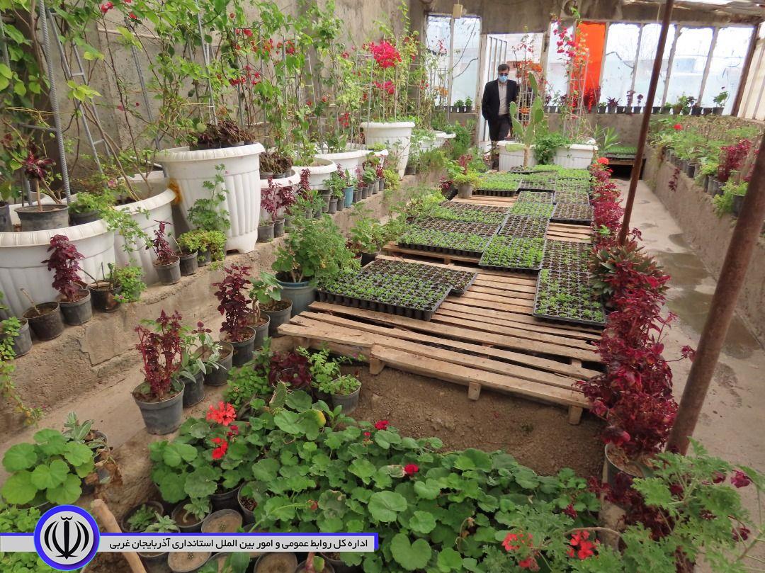 بازدید از تأسیسات شهرداری قره ضیاء الدین