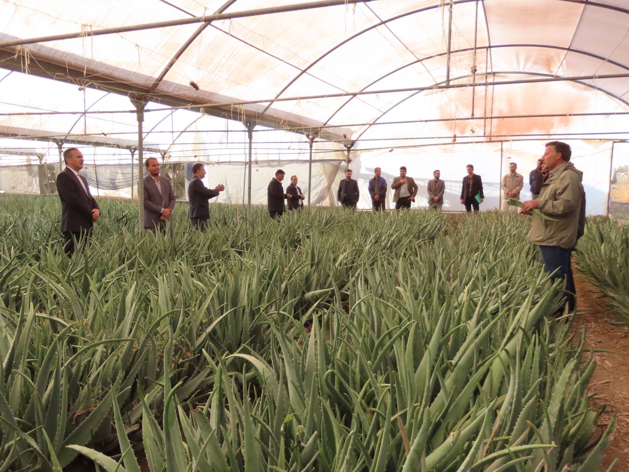 آغاز سرشماری عمومی کشاورزی شهرستان چایپاره