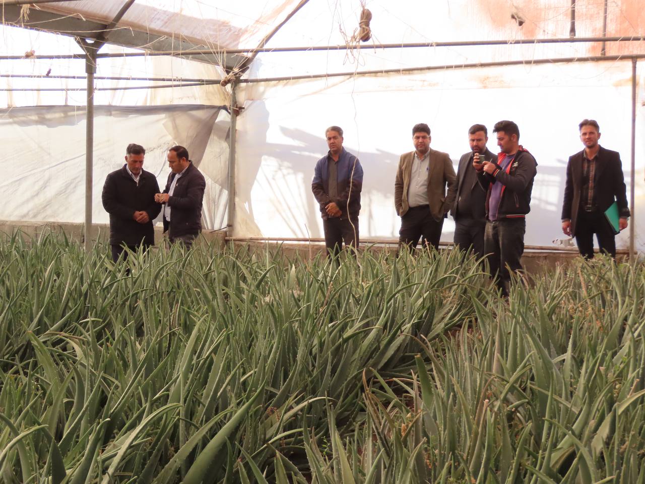 آغاز سرشماری عمومی کشاورزی شهرستان چایپاره