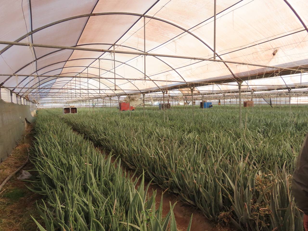 آغاز سرشماری عمومی کشاورزی شهرستان چایپاره