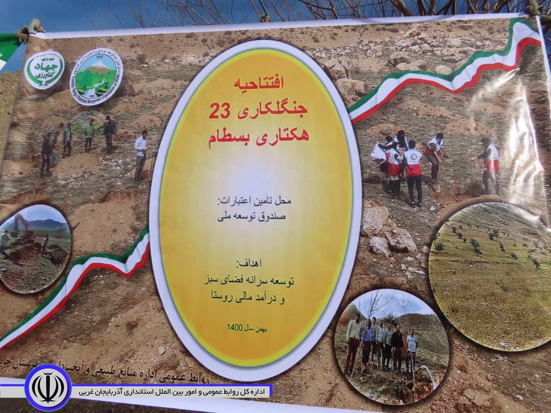 آئین بهره برداری از طرح عظیم جنگلکاری در روستای بسطام برگزار شد