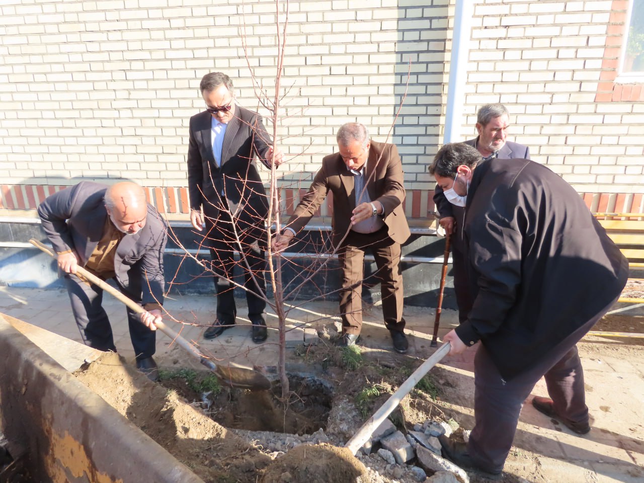 غرس چندین اصله نهال مثمر به مناسبت روز شهدا و تقارن آن با هفته منابع طبیعی