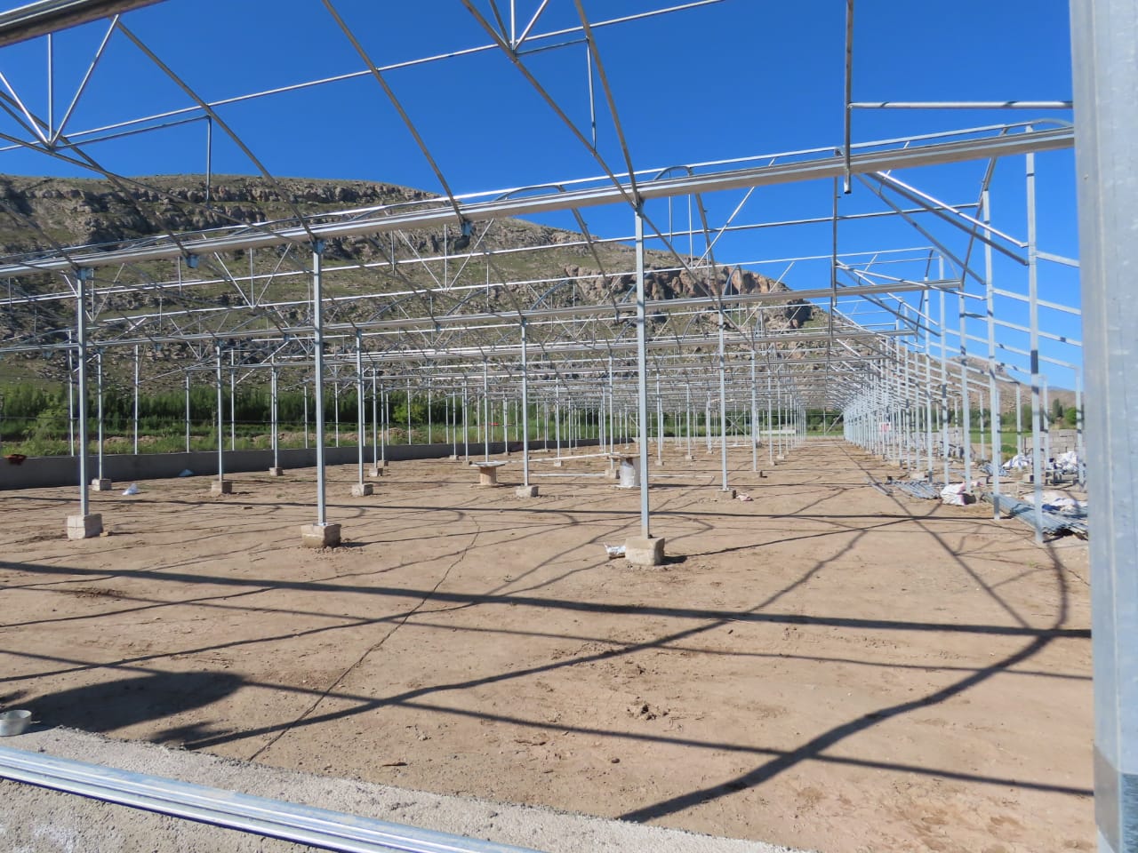 شنبه های « توسعه و تولید ؛ دانش بنیان ، اشتغال آفرین »