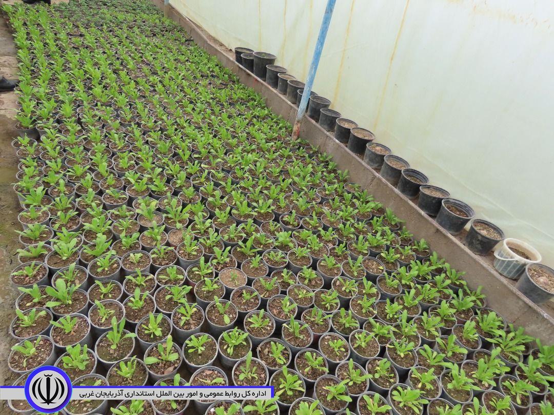 بازدید از تأسیسات شهرداری قره ضیاء الدین