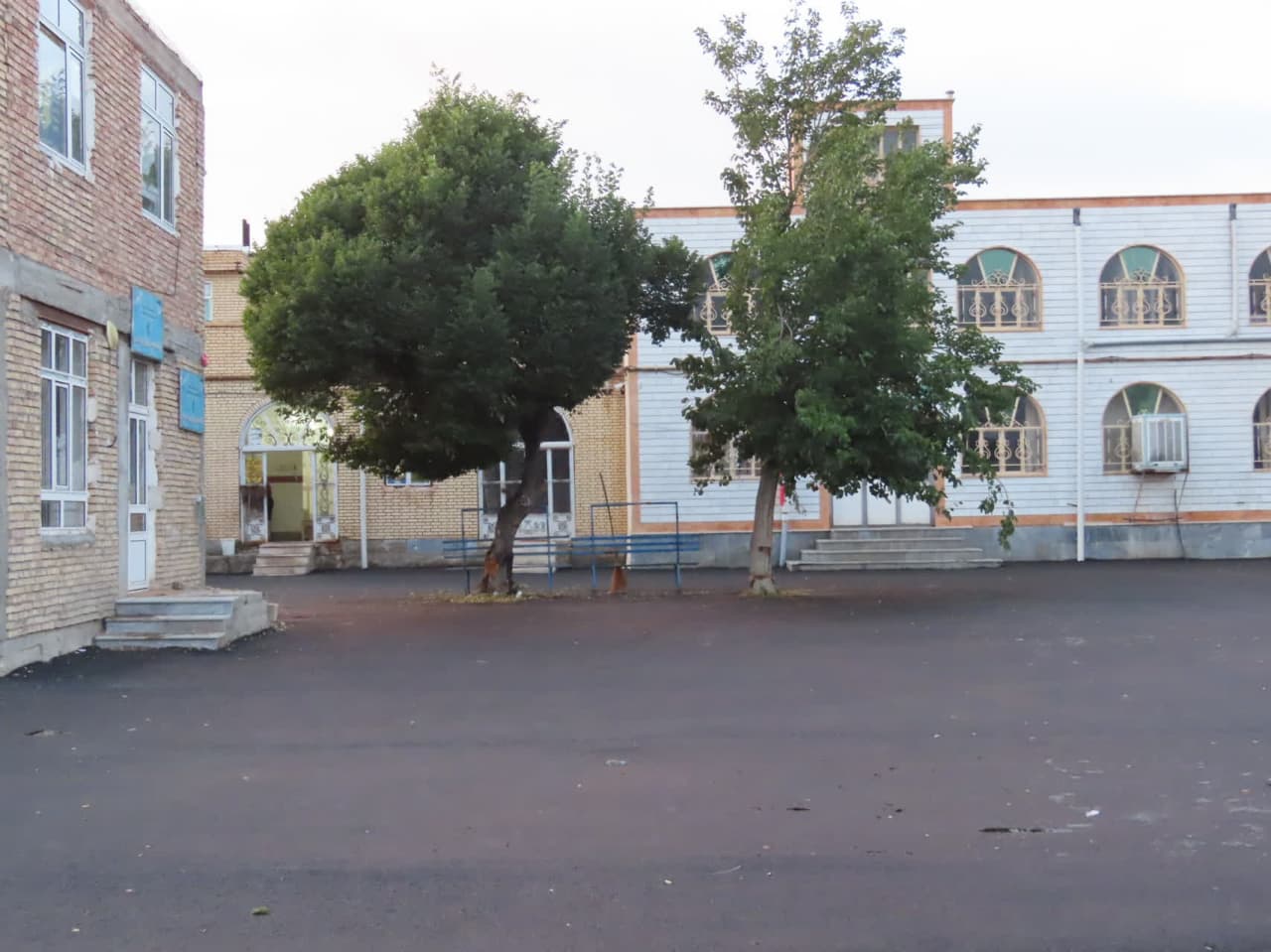 گزارش تصویری